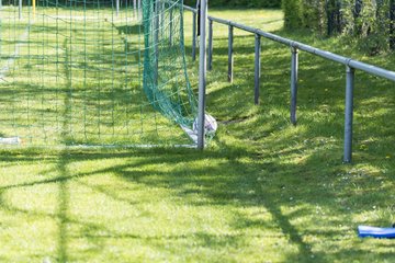 Bild 133 - wBJ SV Henstedt Ulzburg - FSG Oldendorf Itzehoe : Ergebnis: 6:3